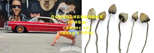 СК Покачи