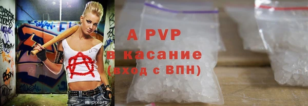 СК Покачи