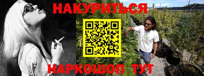 амф Новодвинск