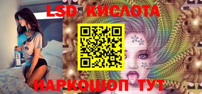 амф Новодвинск